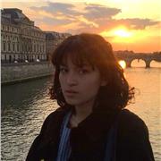 professeur en matière scientifiques (maths, biologie, chimie, physique) ou langues (français ou anglais)